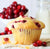 Cranberry Muffin 12pcs/6oz/$2.75